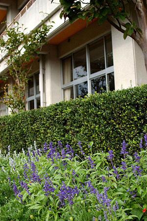 神奈川県小田原市にあるナビ個別指導学院鴨宮校の特徴と評判:学習成績アップを確かなサポートで実現する個別指導塾